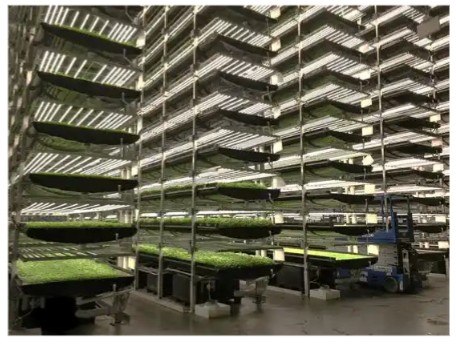 [b]Vertical farms[/b]<br /><br />In many regions, for example in the autonomous Chinese territory of Hong Kong, the problem of overpopulation is very alarming.<br /><br />Real estate is really expensive, and there is simply no way to accommodate everyone who wants to find spacious housing. It's even more challenging when it comes to larger spaces like factories or farms.<br /><br />Hong Kong designers have thought of making the vertical farms just like skyscrapers.