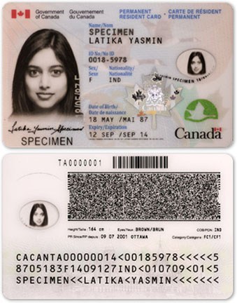 Buy-fake-Canadian-ID-card-online1.jpg