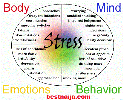 Stress-Symptoms.gif