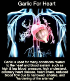 Garlic is good for the heart